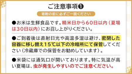 令和7年産 茨城県産 精米 もち米 ヒメノモチ 5kg （5kg×1袋）