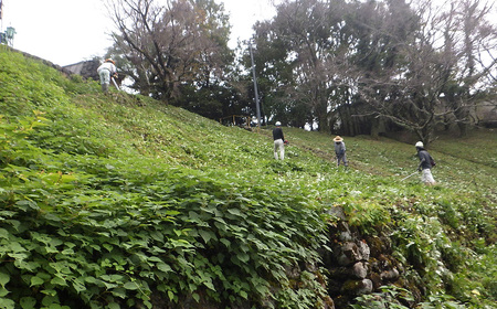 【22,000円分利用券】高知県香美市 草刈り代行サービス 1日 草刈り 草刈 くさかり 草引き 除草作業 除草 お手入れ 代行 サービス