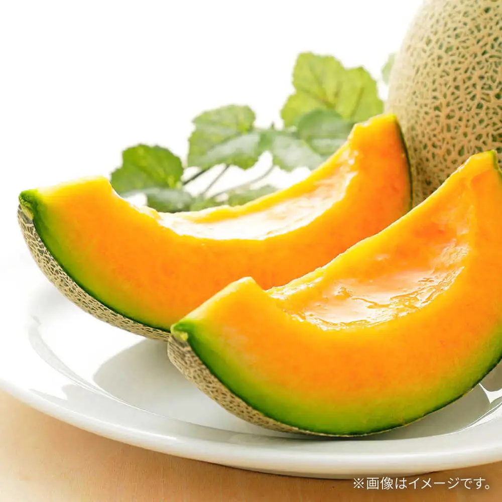 【2027年5月-発送】訳あり タカミメロン レッド 2箱（1箱 3?6玉） / メロン めろん フルーツ 果物 / 南島原市 / 南島原果物屋[SCV037]