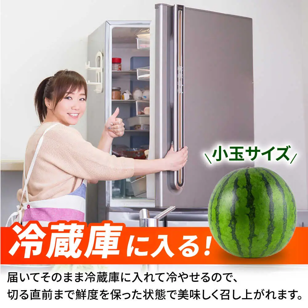 【先行予約】小玉スイカ 3L以上　1玉入り 約1.5kg 【日本フルーツ株式会社】[ZFJ011]