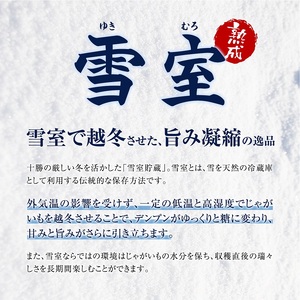 北海道産 熟成じゃがいも とうや 10㎏ 期間限定 雪室貯蔵 十勝産 ジャガイモ