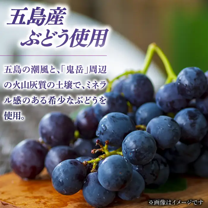 キャンベル・アーリー ロゼ 2025 酒 お酒 ワイン ロゼワイン ぶどう 葡萄五島市/五島ワイナリー[PAG030]