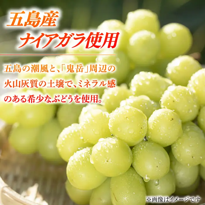 スパークリングワイン ナイアガラ2025 マスカット ぶどう 家飲み 酒 お酒 ワイン 五島市/五島ワイナリー[PAG032]