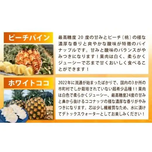 《年4回発送》パイナップル好きにおすすめ！大満足のパイナップル３品種＆マイヤーレモン定期便 《2027年4月以降発送》TF-067-t04