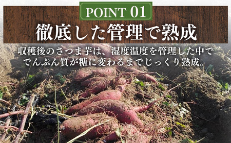熟成 蜜たっぷり 焼き 干し芋 3個 セット | 野菜 やさい ヤサイ さつまいも サツマイモ さつま芋 焼きいも 奈良県 五條市 プレゼント ギフト 人気 いも イモ おすすめ 送料無料 お菓子 おやつ デザート スイーツ 和菓子 紅はるか ほしいも kuruno gojo 甘い うま味 凝縮 高糖度 自然 しっとり ねっとり やわらかい 無添加 安心