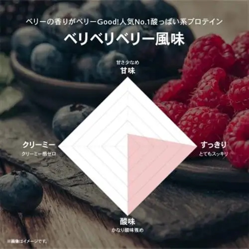 ビーレジェンド WPCプロテイン スッキリ人気2種セット【900g】×2袋_惣菜・加工品   _【1595307】