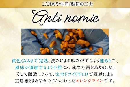 オレンジワイン Anti-nomie 2024 シャインマスカットワイン 750ml×1本 2024年 ふるさと起業チャレンンジ オーディエンス賞 受賞 お