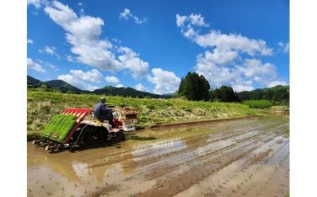 【新米受付・令和8年産米】【数量限定】新潟県村上市岩船産産 こしひかり 辰次郎のお米 精米 10kg　1072003N