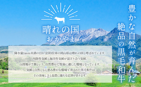 しゃぶしゃぶ スライス セット650g