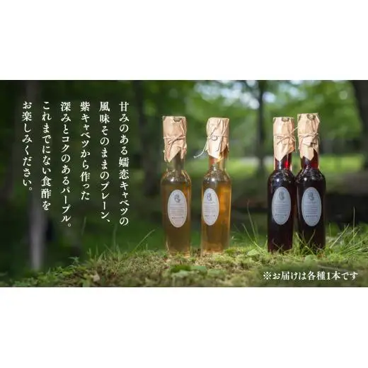 【 お中元 熨斗付】 キャベツ酢2本セット[AF024tu]