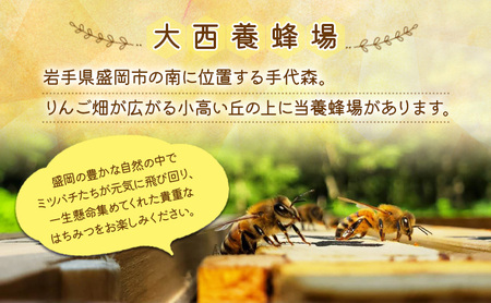 はちみつ りんご 300g ボトル 国産 蜂蜜 リンゴ 林檎 天然 岩手県 盛岡市  大西養蜂場