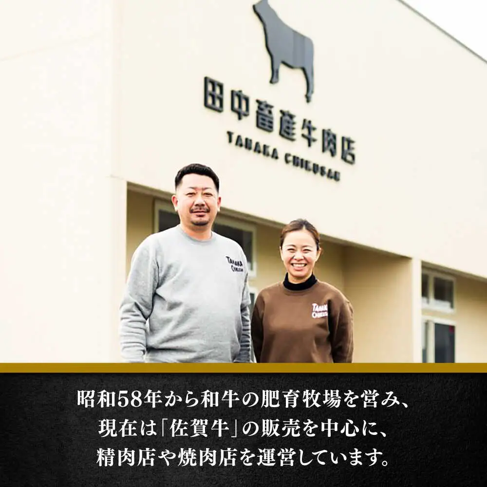 佐賀牛ヒレサイコロステーキ400g / 佐賀県 / 田中畜産牛肉店 [41ARAA010]