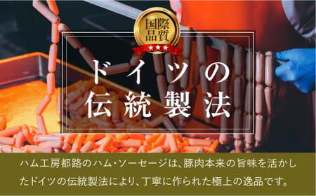 福島県産 やまと豚 生ウインナー ハーブ (各5本×4) 豚肉 福島県 田村市