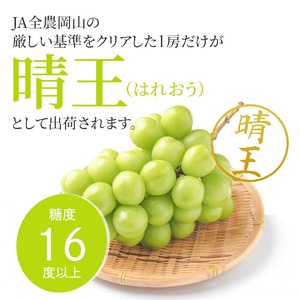 ぶどう 2026年 先行予約 シャイン マスカット 晴王 特大房 2房入り 合計約2kg  岡山県産 シャインマスカット