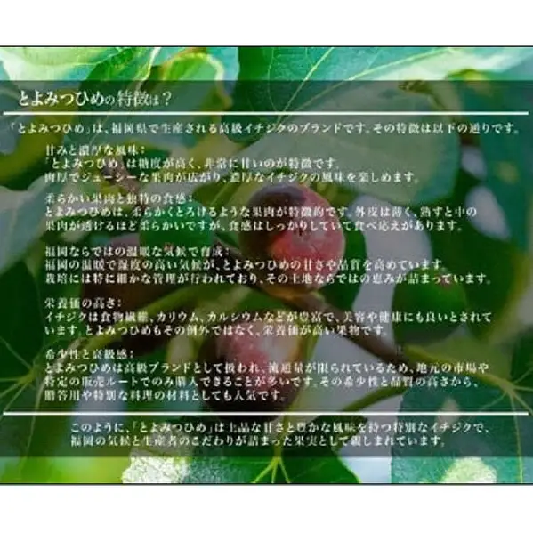 ＜2026年8月以降発送＞とよみつひめ ４パック約1200gセット（福岡市） | フルーツ 果物 くだもの 食品 人気 おすすめ 送料無料