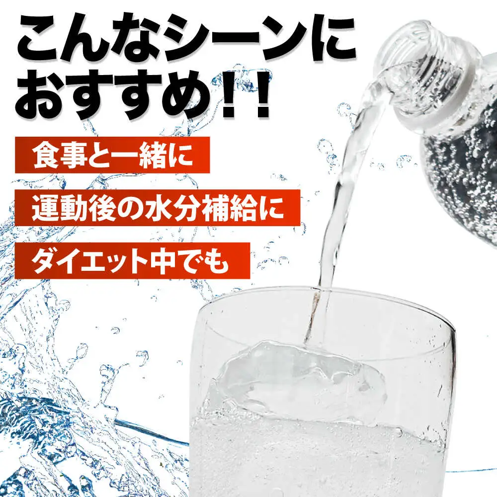 【全4回定期便】龍馬POWER SODA 500ml×24本 計96本 炭酸水 炭酸飲料 [ARER004]