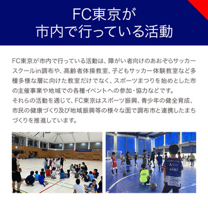 3回 定期便 FC TOKYO GOLDEN ALE 12本 缶ビール 計 36本  |  アルコール 酒 ビール FC東京 