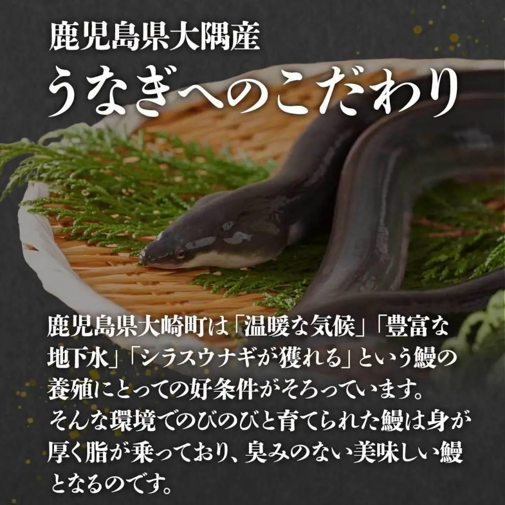 鹿児島県大隅産 香ばし きざみ うなぎ【常温保存可】　6袋 | うなぎ 鰻 大崎町