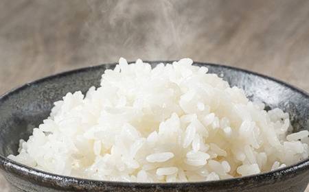 ＜令和６年産＞白米 銀河のしずく 5kg 【産直チャグチャグ】 ／ 米 精米 お米 岩手県産