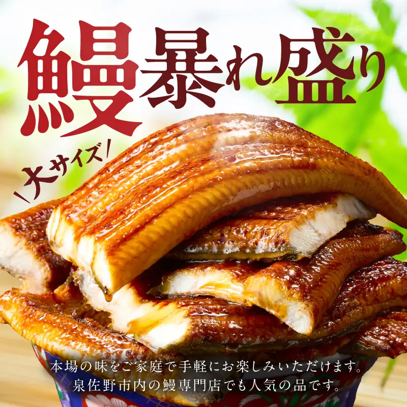 うなぎ 蒲焼き 暴れ盛り 900g うなぎ 