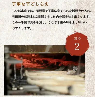 うなぎ蒲焼 2本 角長特製蒲焼タレ 1本 セット 国産 安全 ふっくら うなぎ こだわり 蒲焼き 蒲焼 タレ うな丼 うな重 ひつまぶし う巻き うなむすび 土用 丑の日 水産加工品 魚介 海鮮 海産物 冷凍 和歌山県 湯浅町 お取り寄せ お取り寄せグルメ 送料無料_BC6006
