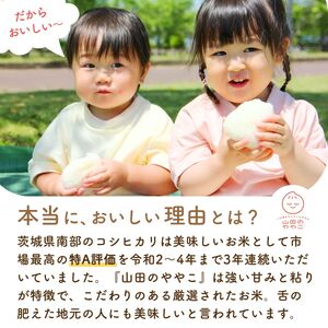 白米 5kg 令和8年産 特別栽培米 山田のややこ | 白米 お米 コシヒカリ