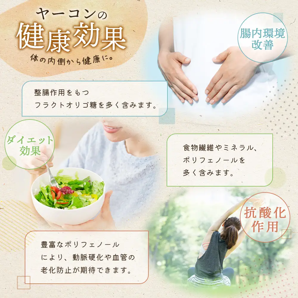【先行予約】【北海道恵庭市産】余湖農園のヤーコン4kg【31001402】