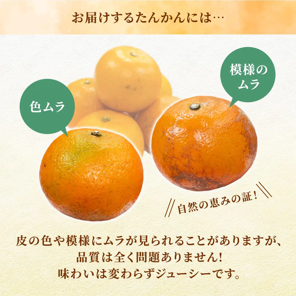 【予約・数量限定】2027年2月～出荷予定《ブランドたんかん》うららか 光センサー 秀優良品 M~2Lサイズ混合 奄美大島産たんかん5kg 渡タンカン農園 もぎたて 旬をお届け