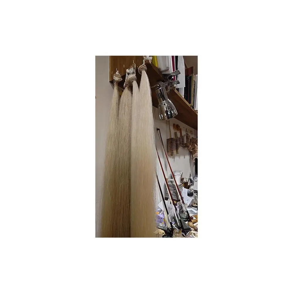 【高島屋選定品】〈Liuteria-TAKADA〉マエストロリュータイオによる弦楽器のためのメンテナンスチケット3万円分