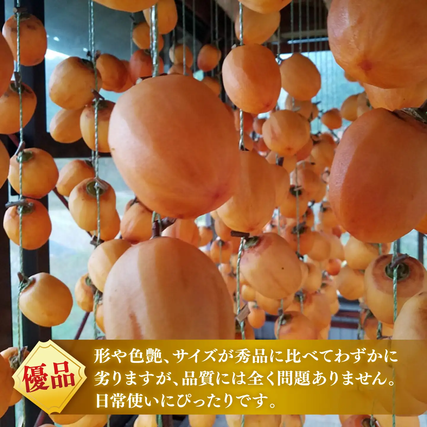 フルーツ 【先行予約】【8個限定】【優品】  松江市産西条柿自宅でできる「つるし柿セット」 5kg  島根県松江市/マルカミ農縁株式会社 [ALCM009] フルーツ フルーツ