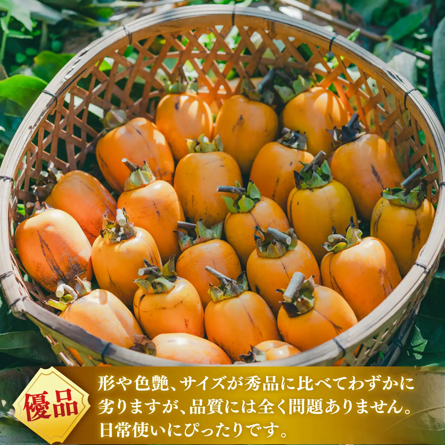 フルーツ 【先行予約】【10個限定】【優品】 とろ?り甘さの極み！合わせ柿 5kg 島根県松江市/マルカミ農縁株式会社 [ALCM013] フルーツ フルーツ