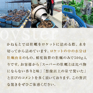 ＜先行予約：2027年1月配送開始＞ 生牡蠣 牡蠣 生食用 かき剥き身 500g 2本入 水無し 生産者直送 かき 生食 魚介 魚介類