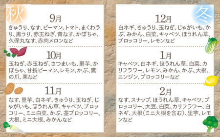 定期便 《6ヶ月連続お届け》旬のおまかせ「若狭みはま」の新鮮野菜セット 8種以上＋特産品1品【ふるさと納税 春野菜 夏野菜 秋野菜 冬野菜  定期便 定期 やさい 野菜 セット 詰合せ 大容量 産地直送 旬 新鮮 採れたて おススメ 人気 】  [m80-g001]