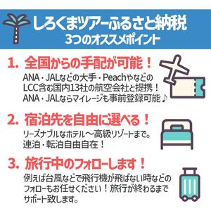 【那覇市】しろくまツアーで利用可能なWEB旅行クーポン（15,000円分）