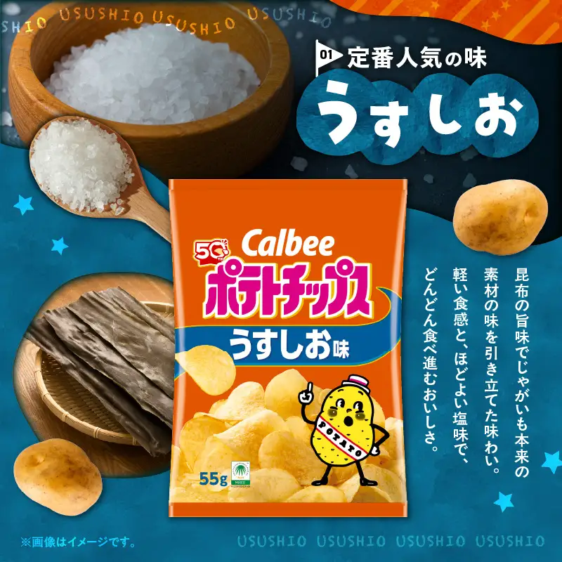 カルビー ポテトチップス【うすしお】16袋 K194-002_03 菓子