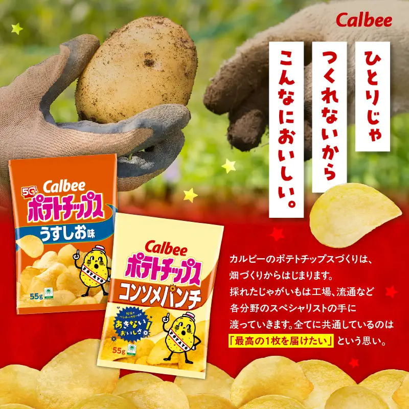 カルビー ポテトチップス 2種 食べ比べ セット 【 うすしお × コンソメパンチ 】 計32袋 K194-002_09 菓子