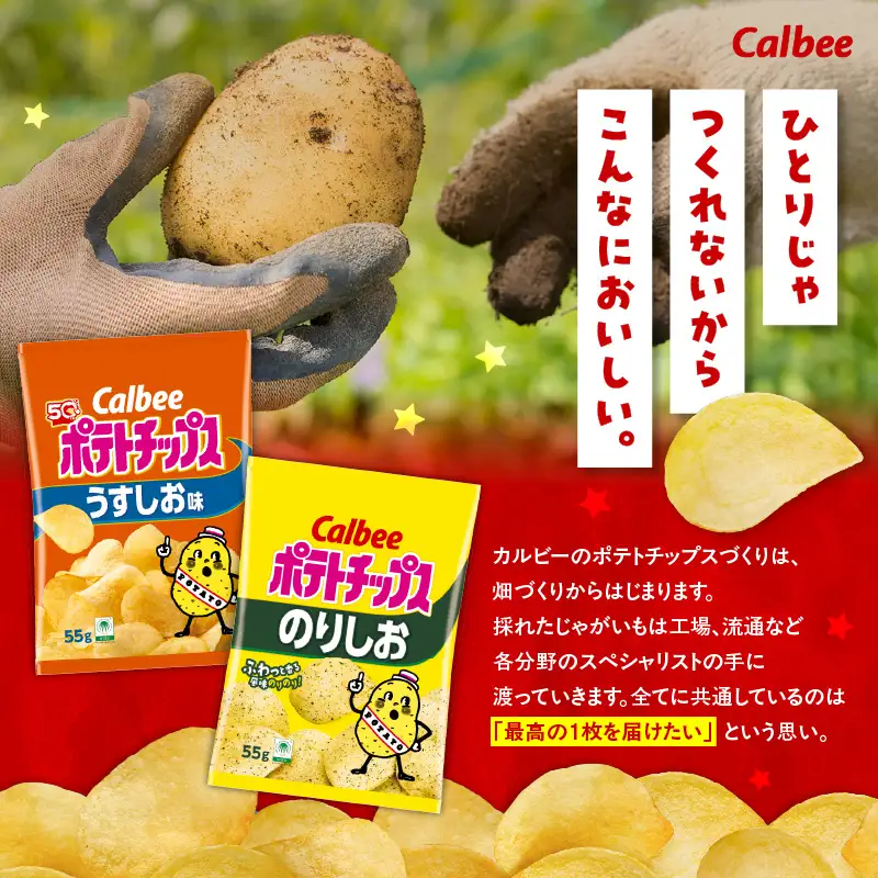 カルビー ポテトチップス 2種 食べ比べ セット 【 うすしお × のりしお 】 計32袋 K194-002_10 菓子