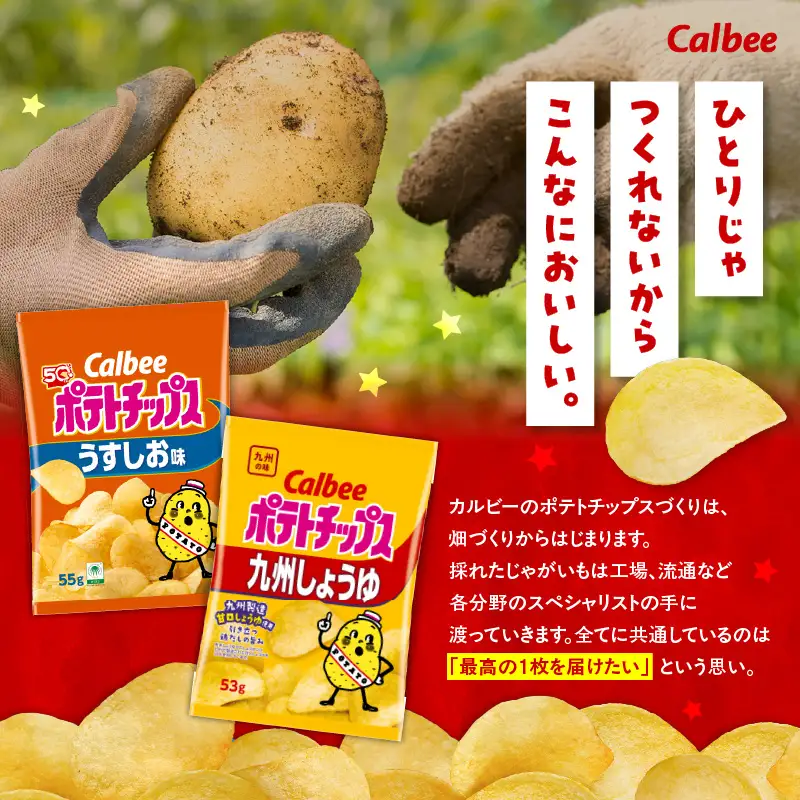 カルビー ポテトチップス 2種 食べ比べ セット 【 うすしお × 九州しょうゆ 】 計28袋 K194-002_11 菓子
