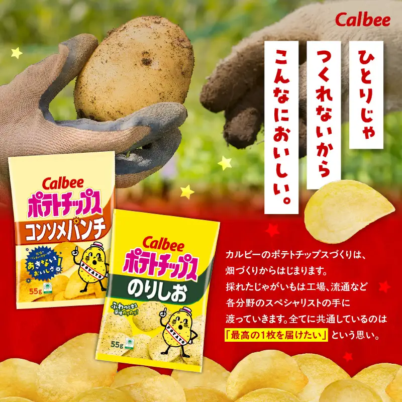 カルビー ポテトチップス 2種 食べ比べ セット 【 コンソメパンチ × のりしお 】 計32袋 K194-002_12 菓子