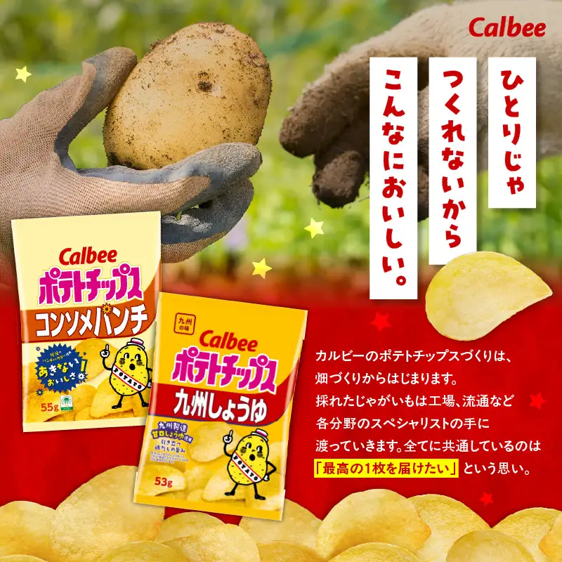 カルビー ポテトチップス 2種 食べ比べ セット 【 コンソメパンチ × 九州しょうゆ 】 計28袋 K194-002_13 菓子
