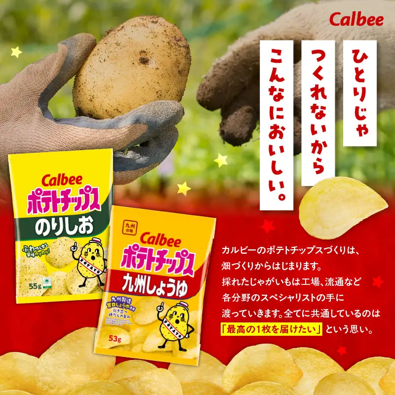 カルビー ポテトチップス 2種 食べ比べ セット 【 のりしお × 九州しょうゆ 】 計28袋 K194-002_14 菓子