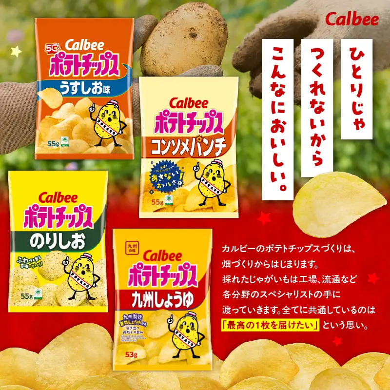 【4ヶ月定期便】カルビー ポテトチップス 食べ比べ4種【うすしお、コンソメパンチ、のりしお、九州しょうゆ】 K194-T01 菓子