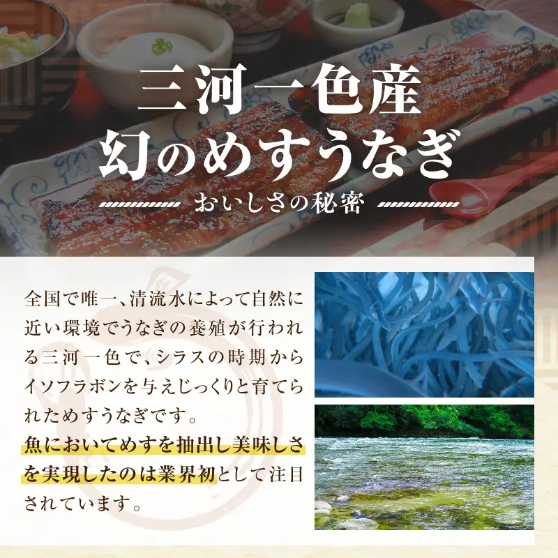 三河一色産　幻のめすうなぎ艶鰻　蒲焼3尾・T117