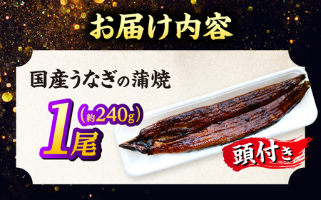 うなぎ 国産うなぎの蒲焼×1尾（頭付き）島根県松江市/うなぎの源内[ALHE001] うなぎ うなぎ