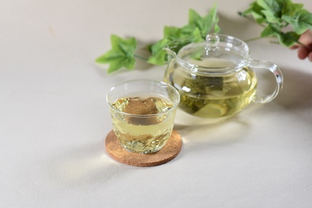 everday 水出し茶 1袋（Lサイズ） 有機緑茶 お茶 茶葉 tea 緑茶 製茶 水出し アイス ティーバッグ マグボトル お手軽 小分け 飲料類 水分補給 国産 宮崎県産 九州産 スポーツ アウトドア お中元 敬老の日