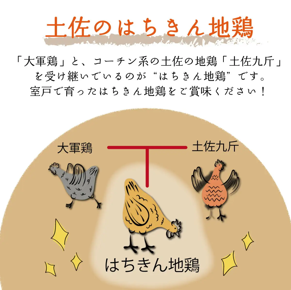 【高知県室戸市】はちきん地鶏 味付き手羽元1kg 地鶏肉 国産鶏肉 唐揚げ からあげ カレー BBQ バーベキュー 冷凍