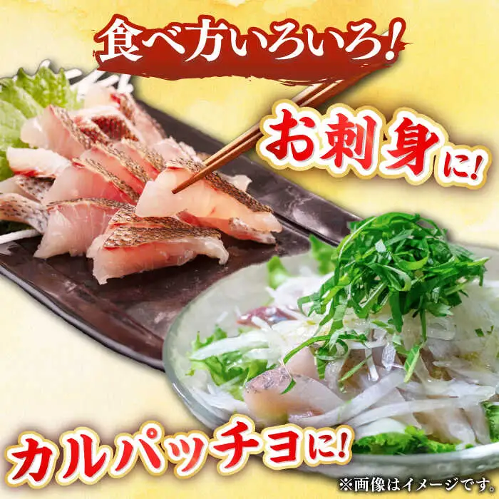 刺身 (全2回定期便) JFO005 刺身盛りセット