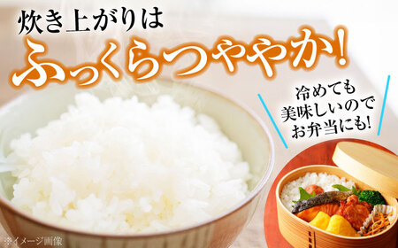 【新米】【全3回定期便】泉水のこしひかり 3kg×2袋 計6kg [APAJ010] 米