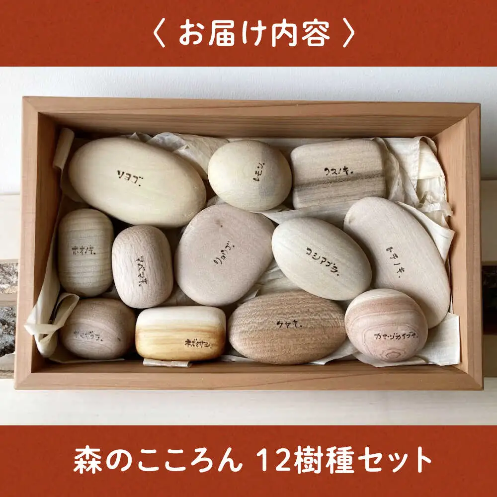木のおもちゃ 12樹種セット[APAL015] 木育