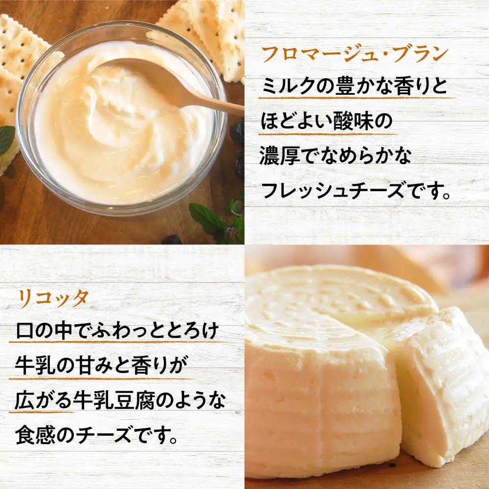 チーズ＆ヨーグルトセット[APAV003] チーズ